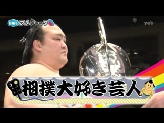 Ame ta lk! sumo daisuki geinin (相撲大好き芸人)