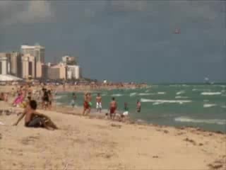 Scott storch & brooke hogan (2006)