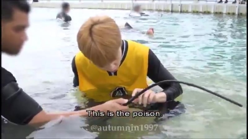 Соблазняет ската