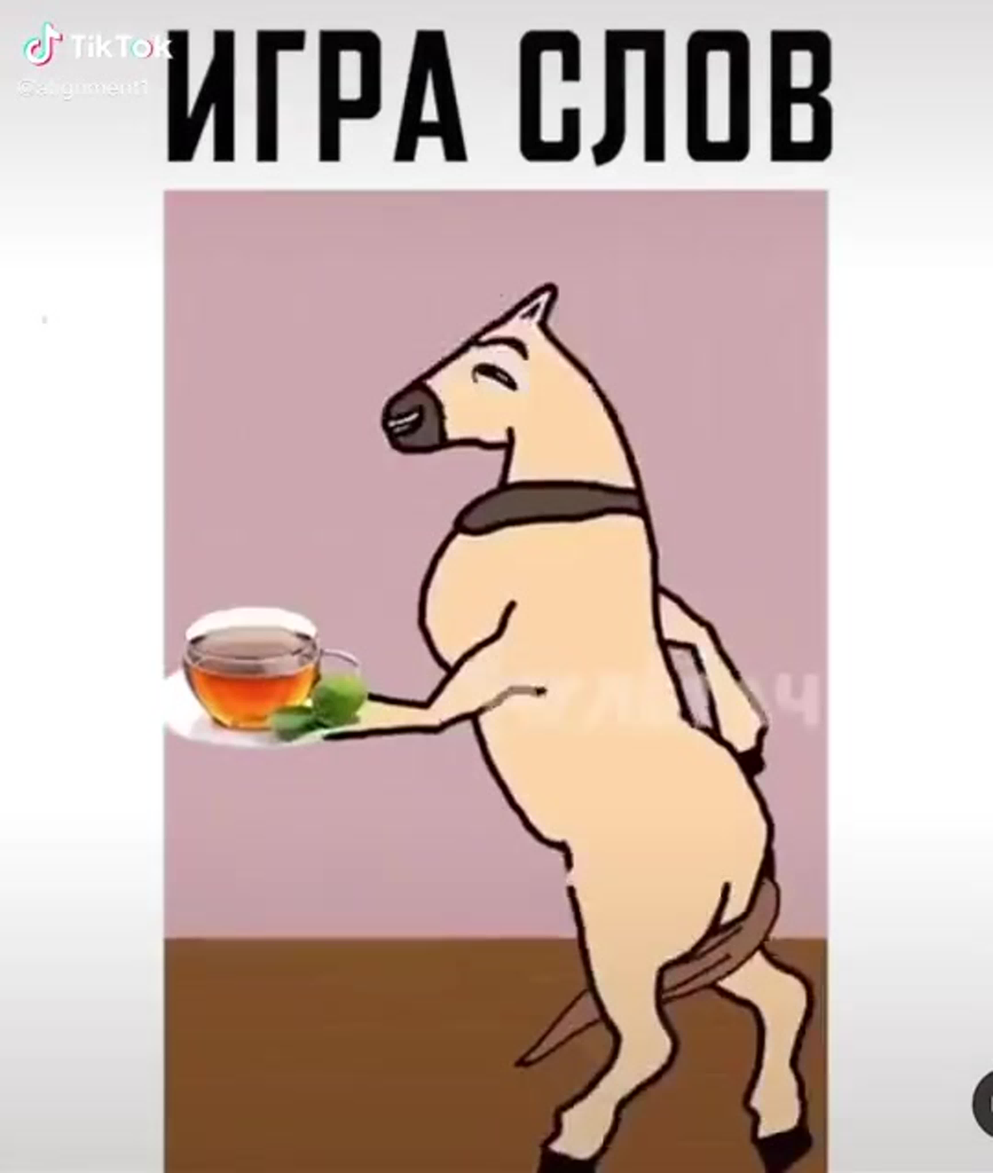 зоофилия с лошадью 