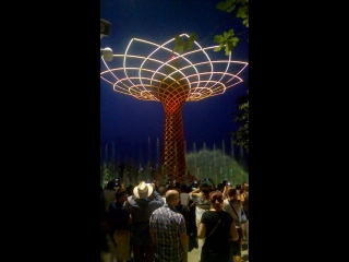 Albero della vita expo milano 2015