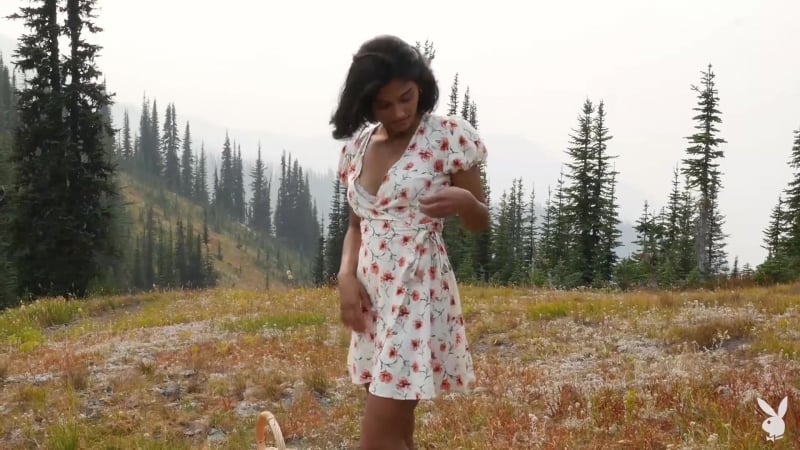 Mountaintop morsel angel constance