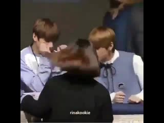 Нюхают друг друга