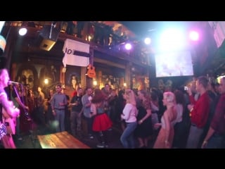 Alligators bolivar bar