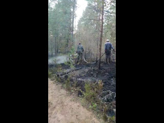 Видео от ильи маленко