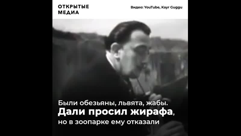 Как сальвадор дали и гала провели карнавальную ночь