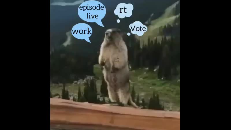 Mood çağlarertuğrul afiliaşk ayker biri̇