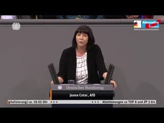 Unfassbar was stimmt mit ihnen nicht joana cotar afd fraktion im