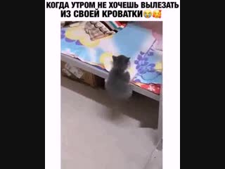 Не хочу вылезать из кровати