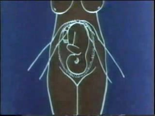 Исследования беременной в третьем триместре, беременность © study pregnant 1458360821179