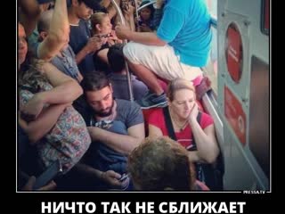 Ayolning mushuki bor