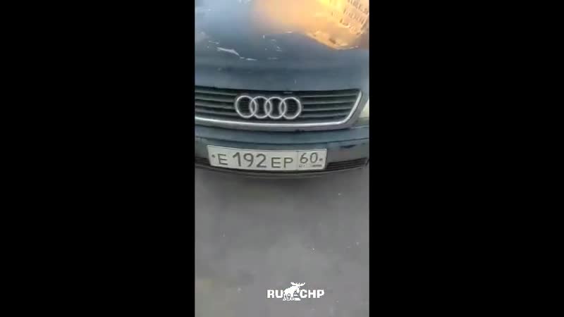 Великие луки