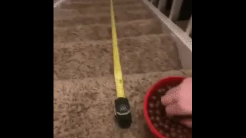 Шикарная логистика