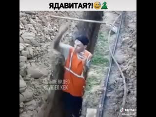 Нарк