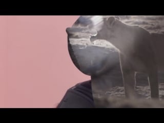 Dye shes bad by dent de cuir