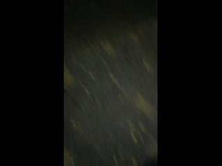 Live bn/ алар тобы