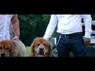 Dani mocanu campion hit 2018