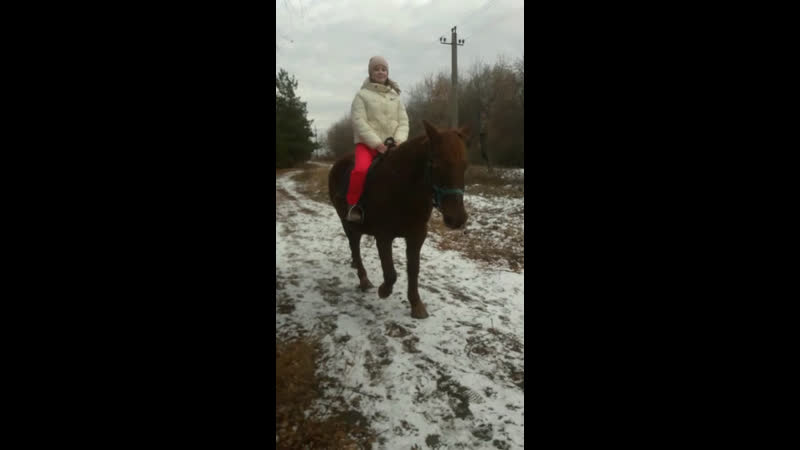 Расстояние между городами Щучье (Курганская область) и Шадринск (Курганская область)