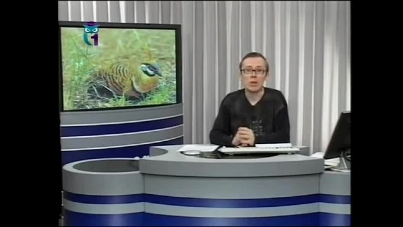 Экология передача 12 температура и водный обмен
