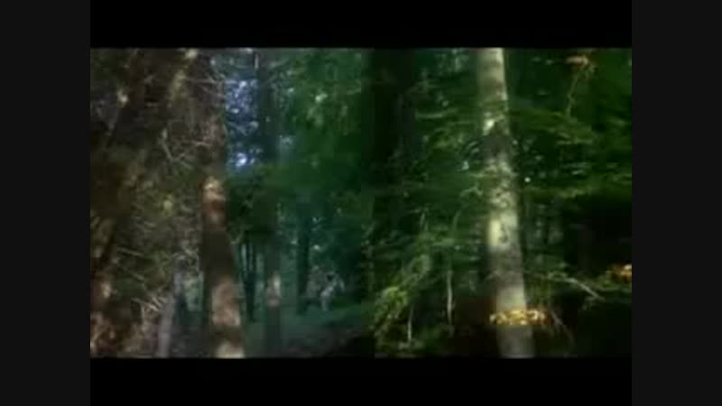 Pana porn video – Akademia pana kleksa 6/9