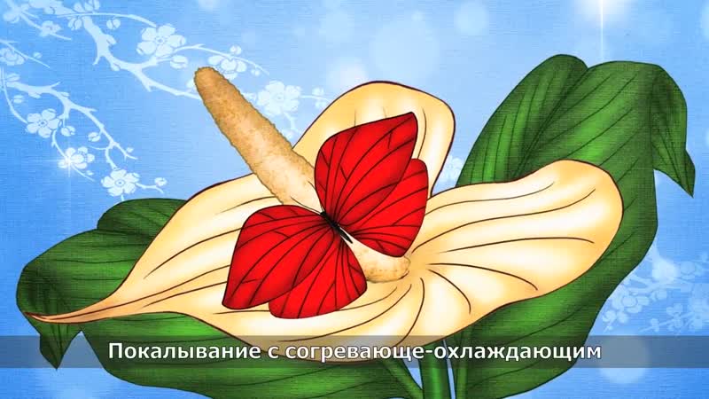 Секрет шикарного минета! блеск для губ для оральных ласк shunga oral pleasure gloss