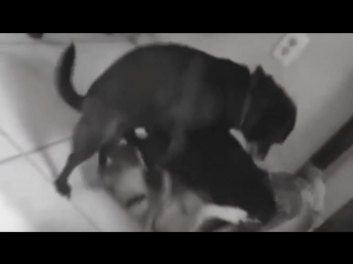 Живите полной жизнью (vhs video)