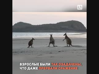 Дядя жень, пап, хорош, а!