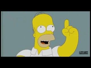 Homer simpson black hawk down