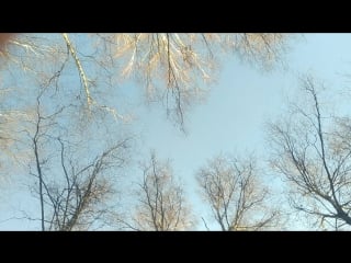 V 20180409 082920 vhdr on mp4