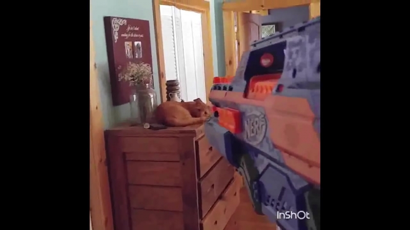 [psych ward] i shot my wife everyday for a week with nerf guns