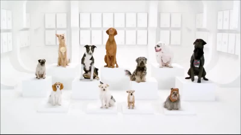 Молодые "поют" имперский марш