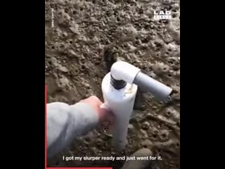 This lad rescues shrimp by removing parasites stuck to them its so satisfying seeing him save them all!