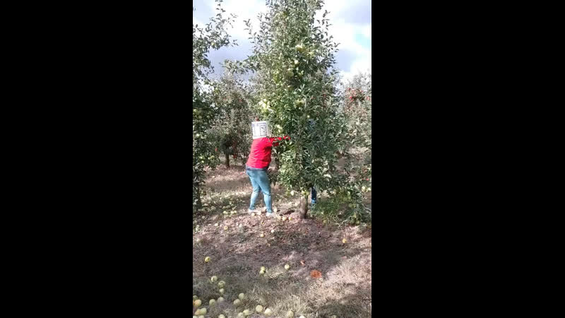 Такое ноу хау нам подходит