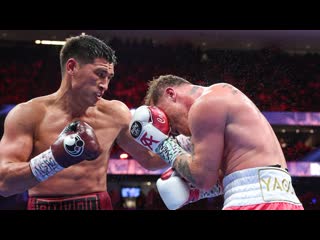 Бивол канело | highlights