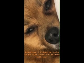 Ig hatchi on perrie’s instagram story today! ️ 1st october 2018