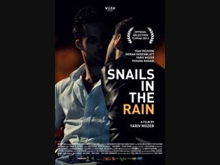 Улитки под дождём / любовное письмо незнакомца / snails in the rain / liebesbriefe eines unbekannten израиль 2013 г драма