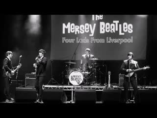 The mersey beatles she loves you + i want to hold your hand