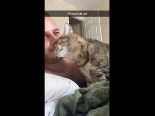 Harlot here loves to bonk her head into mine