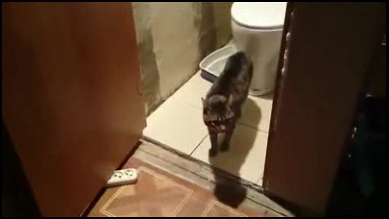 Зовите экзарциста