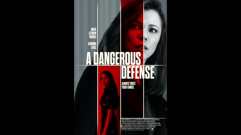 Смертельная тайна её семьи (2021) a dangerous defense (her fatal family secret)