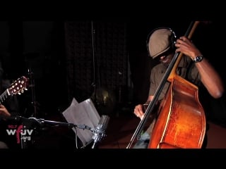 Cassandra wilson “red guitar“ (live at wfuv)