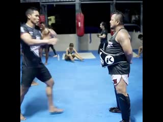 Trainer gae 20201105 2 mp4