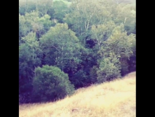 Daveigh chase on instagram "straight country"