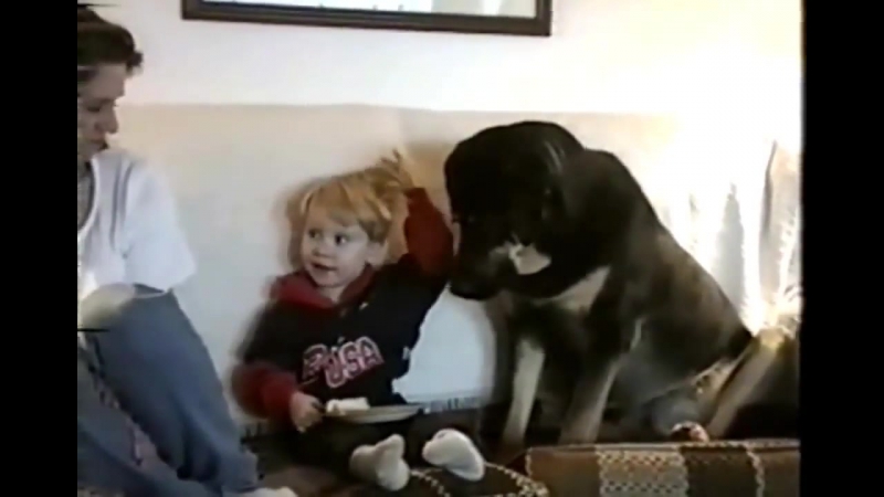 Терпение кончилось