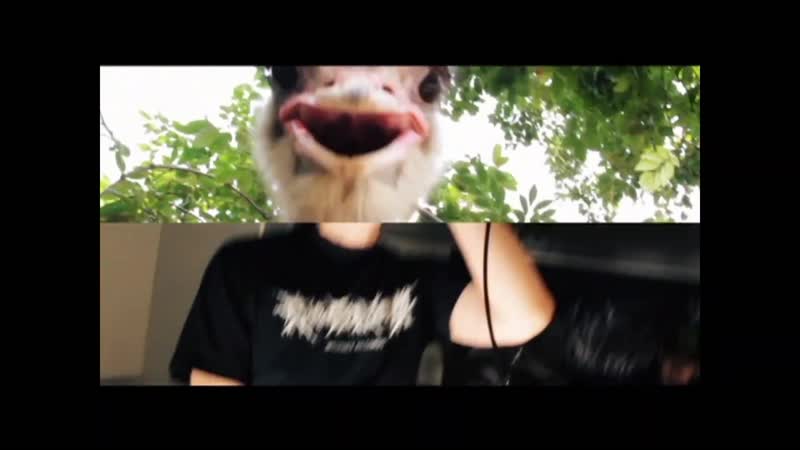 Shinda saibo no katamari infected ostrichment