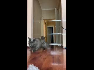 Испугал мамку, негодник