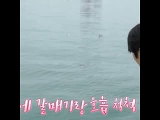 Joochan feeding joochan