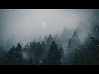 Снегопад в лесу / snowfall in forest