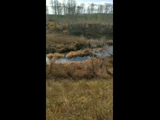 Vid 20201018 123018(0) mp4