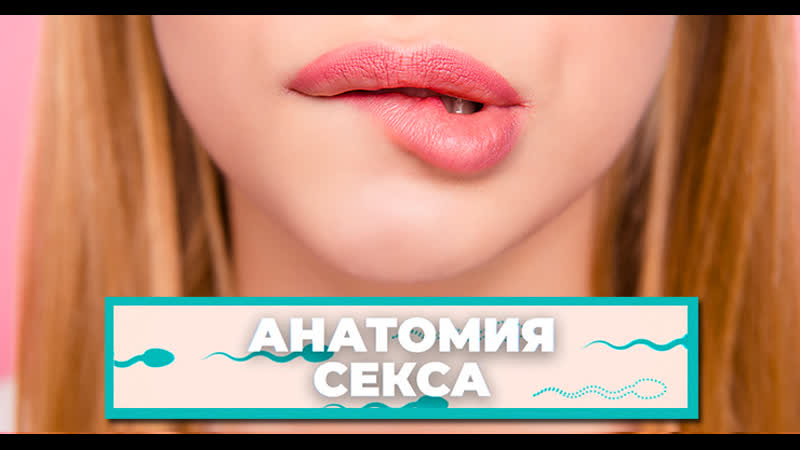 «анатомия секса» как устроена наша вагина